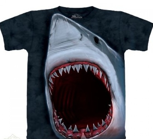 shark-shirts